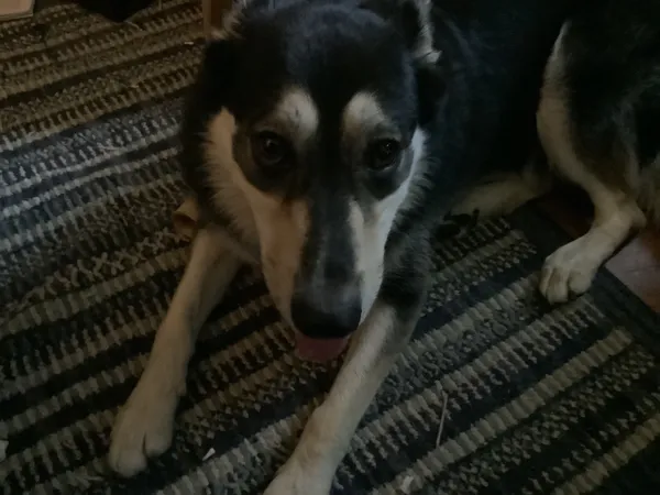 Maggie looking up